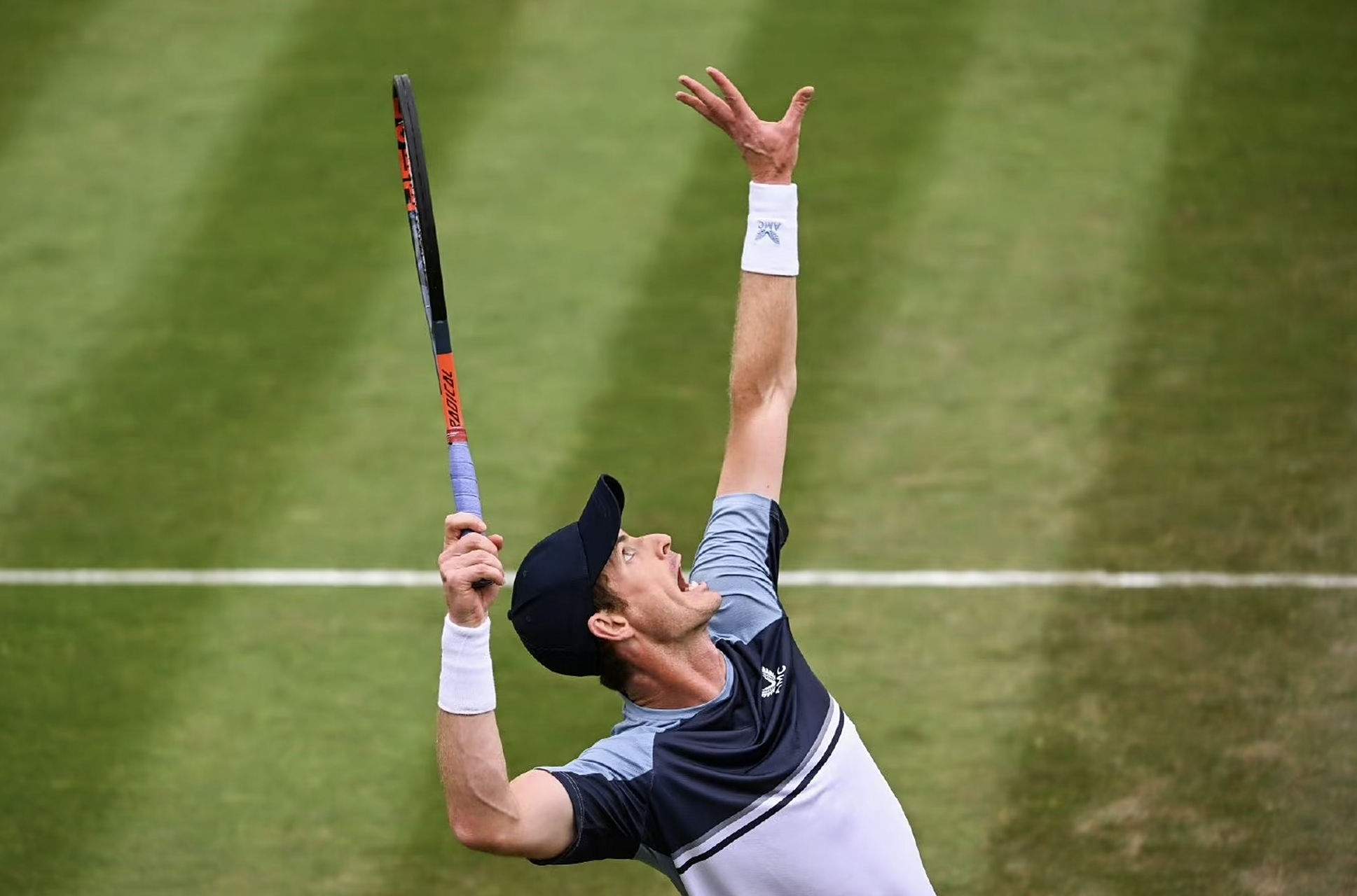 法国网球队强势德国网球队，穆雷绝境逆转的简单介绍