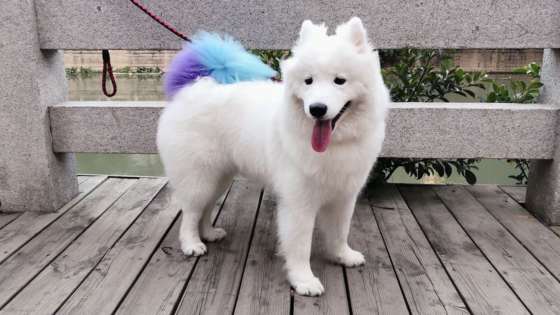 拉文压哨三分绝杀掘金！马刺上演惊天逆转，替补奇兵拯救圣城