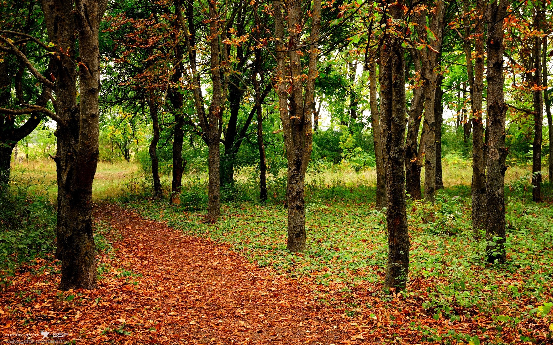输出满格，信号不断，厄德高统领摩洛哥中场大捷