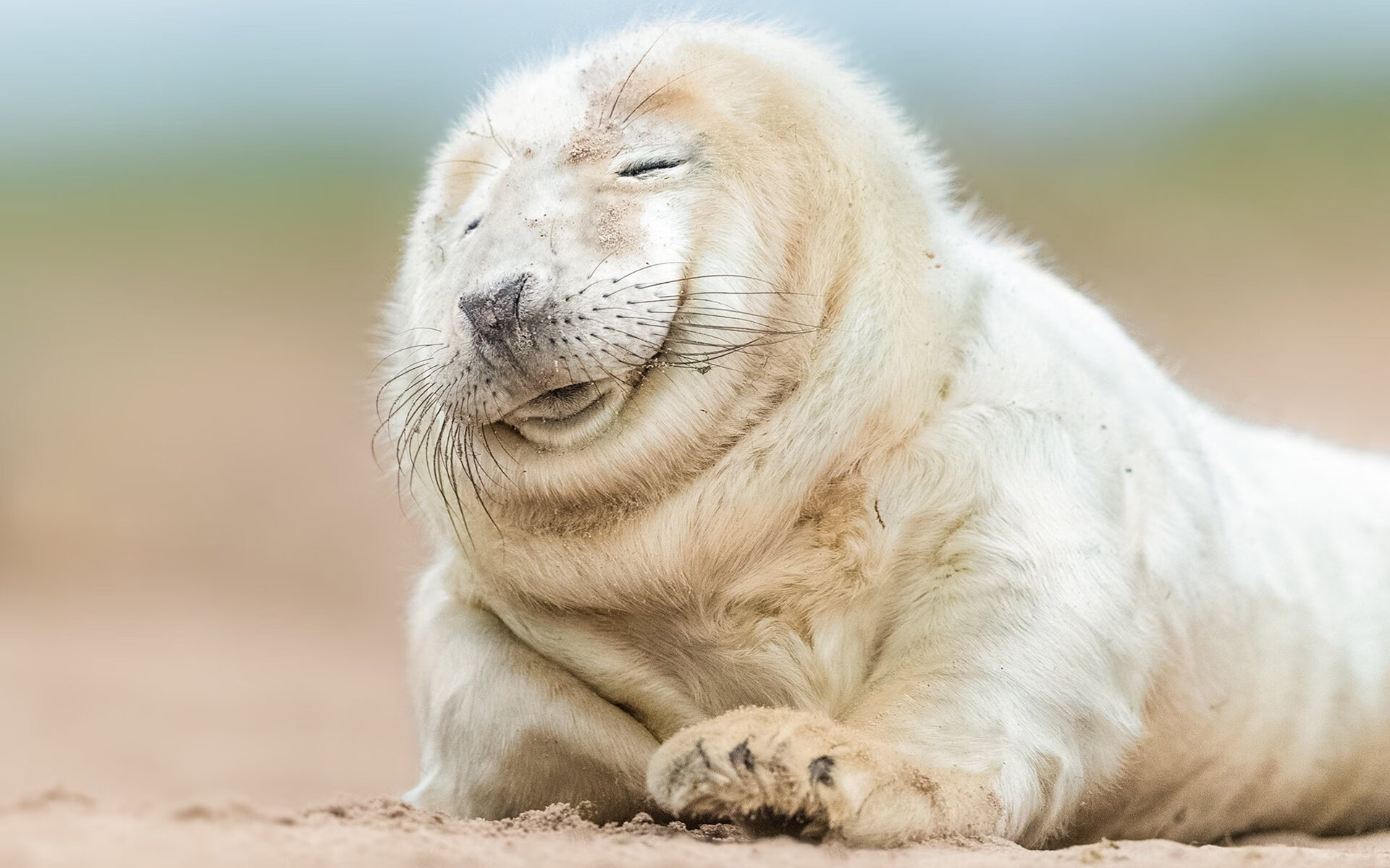 厄瓜多尔战术压制瑞士，新星迪亚斯惊艳全场