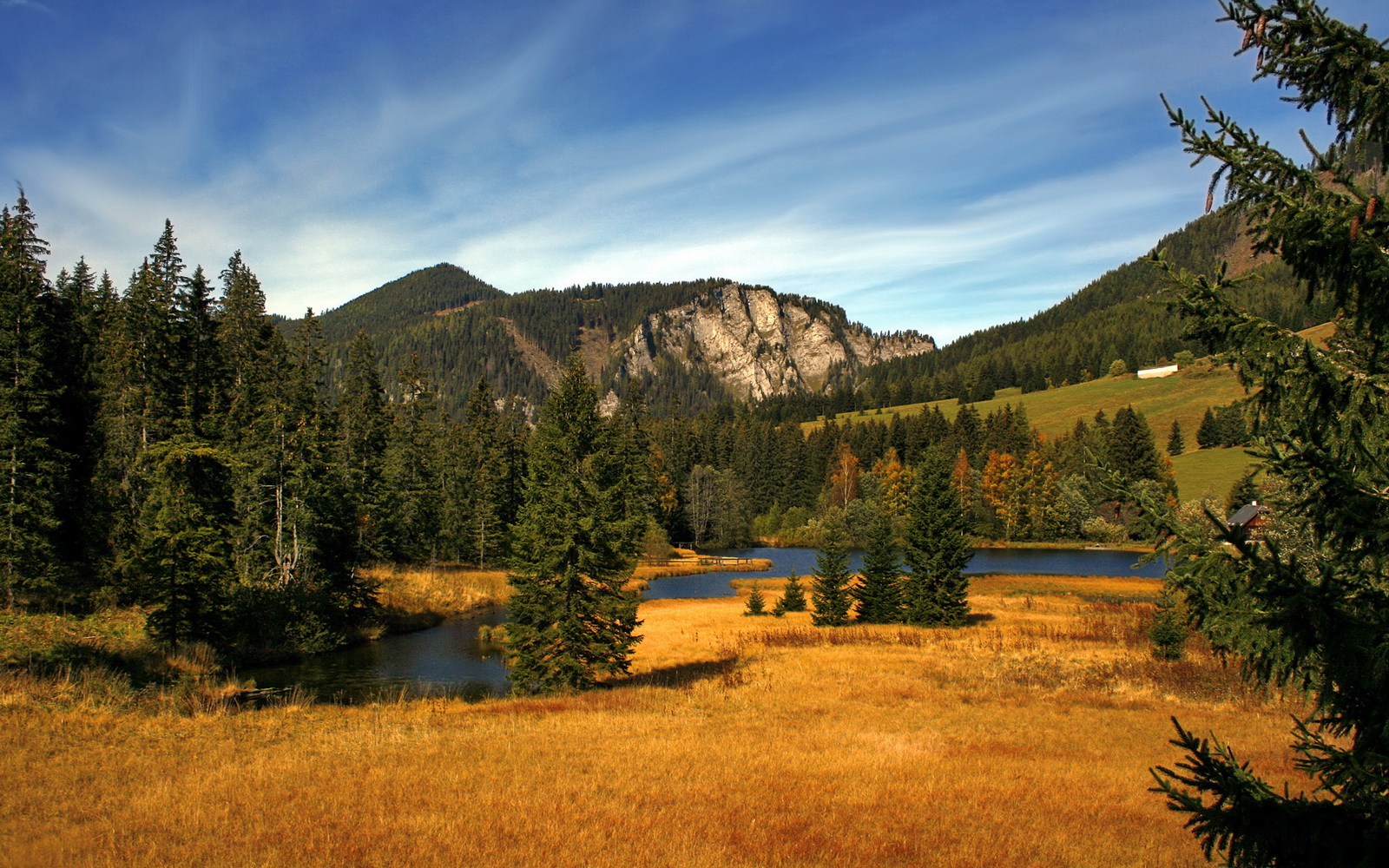 猛龙强势晋级！火箭苦战不敌，季后赛格局骤变