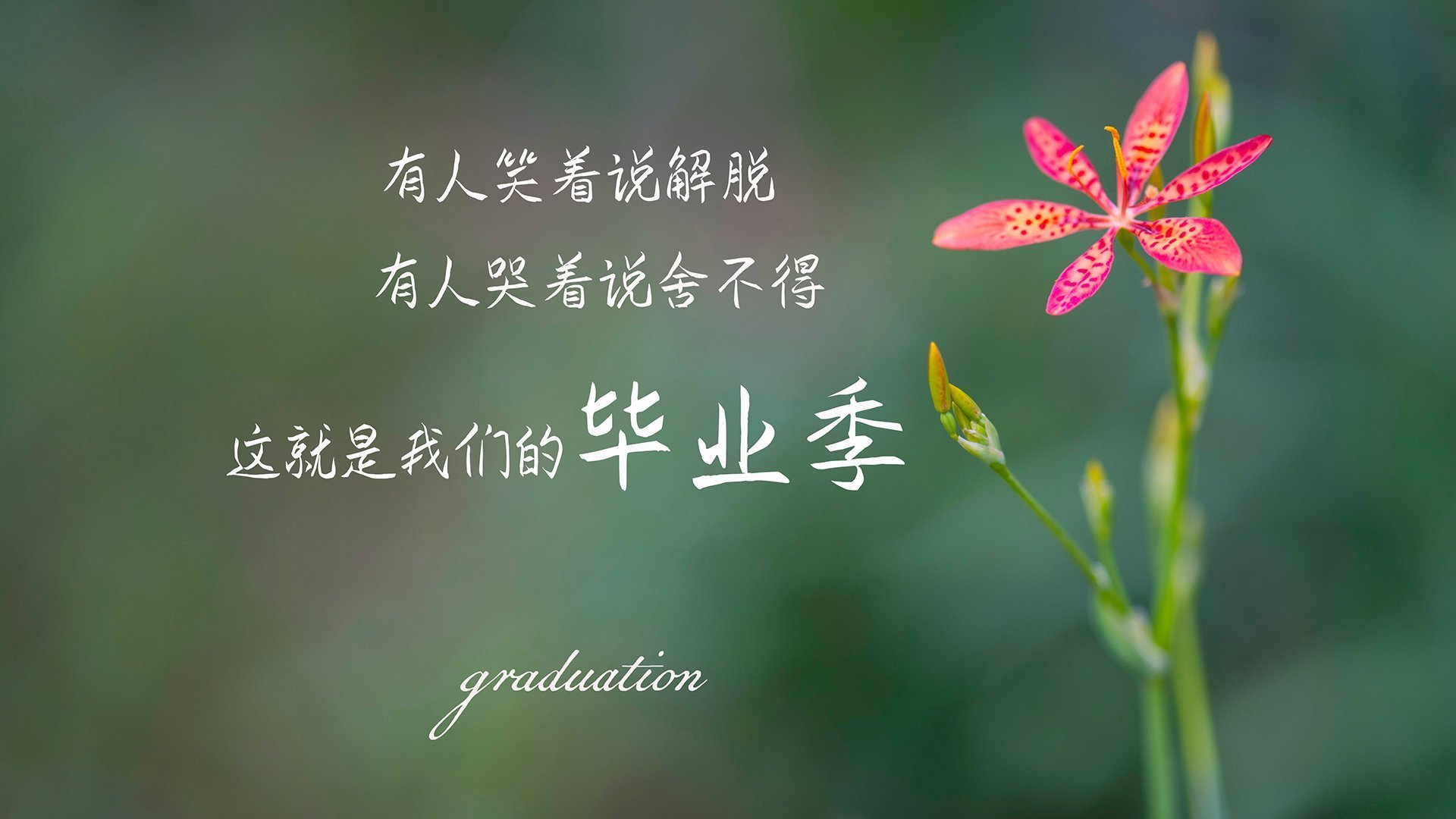 詹姆斯统治全场，年度焦点之战的辉煌篇章