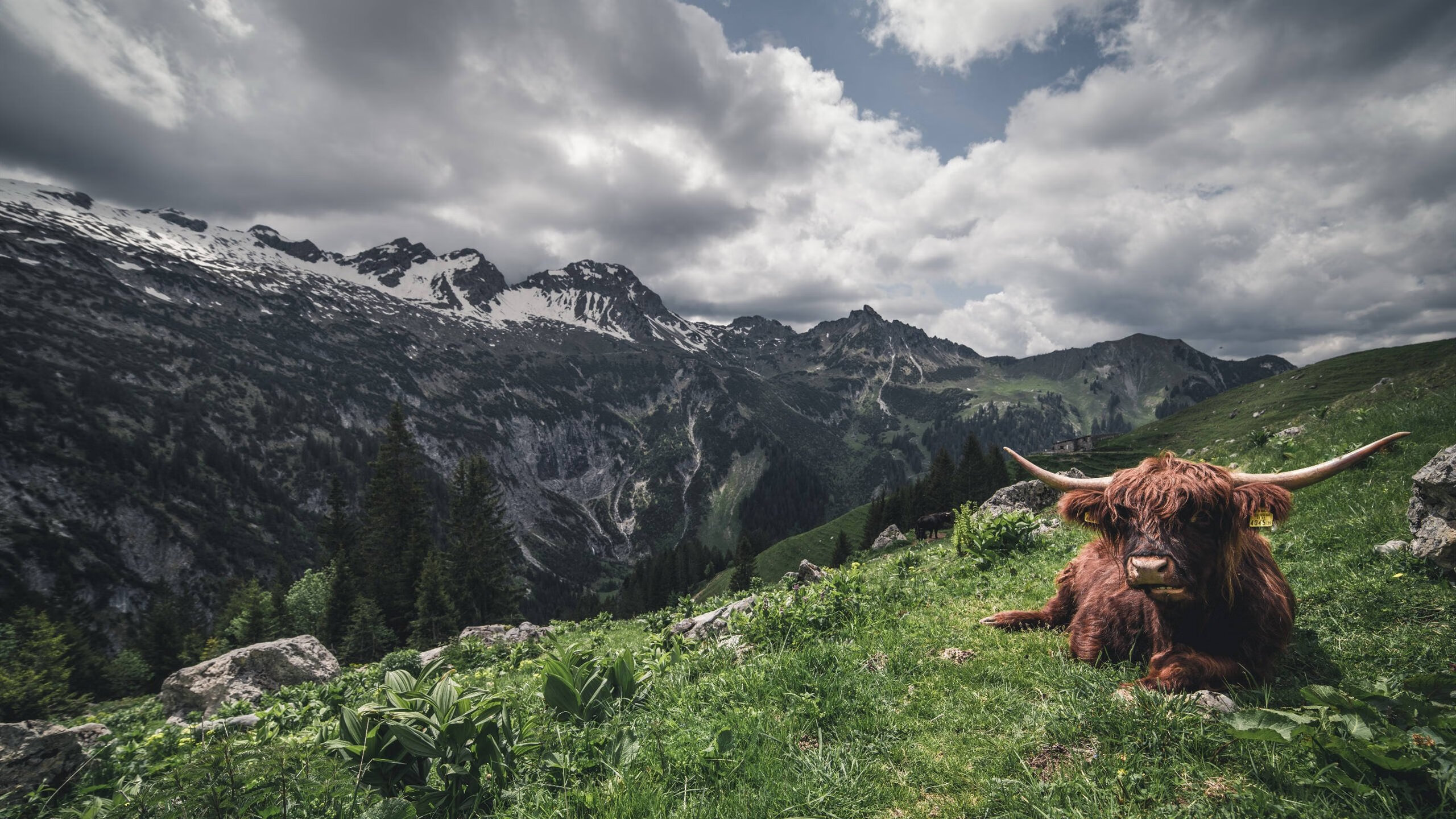 双线鏖战，热火骑士死磕东方，库里死神降临西决