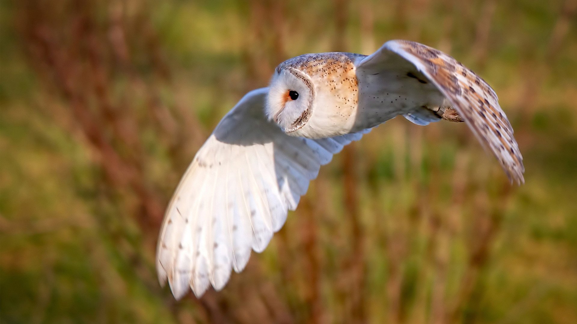 开云下载-拉什福德关键制胜锁定胜局，牙买加一波带走克罗地亚爆冷门