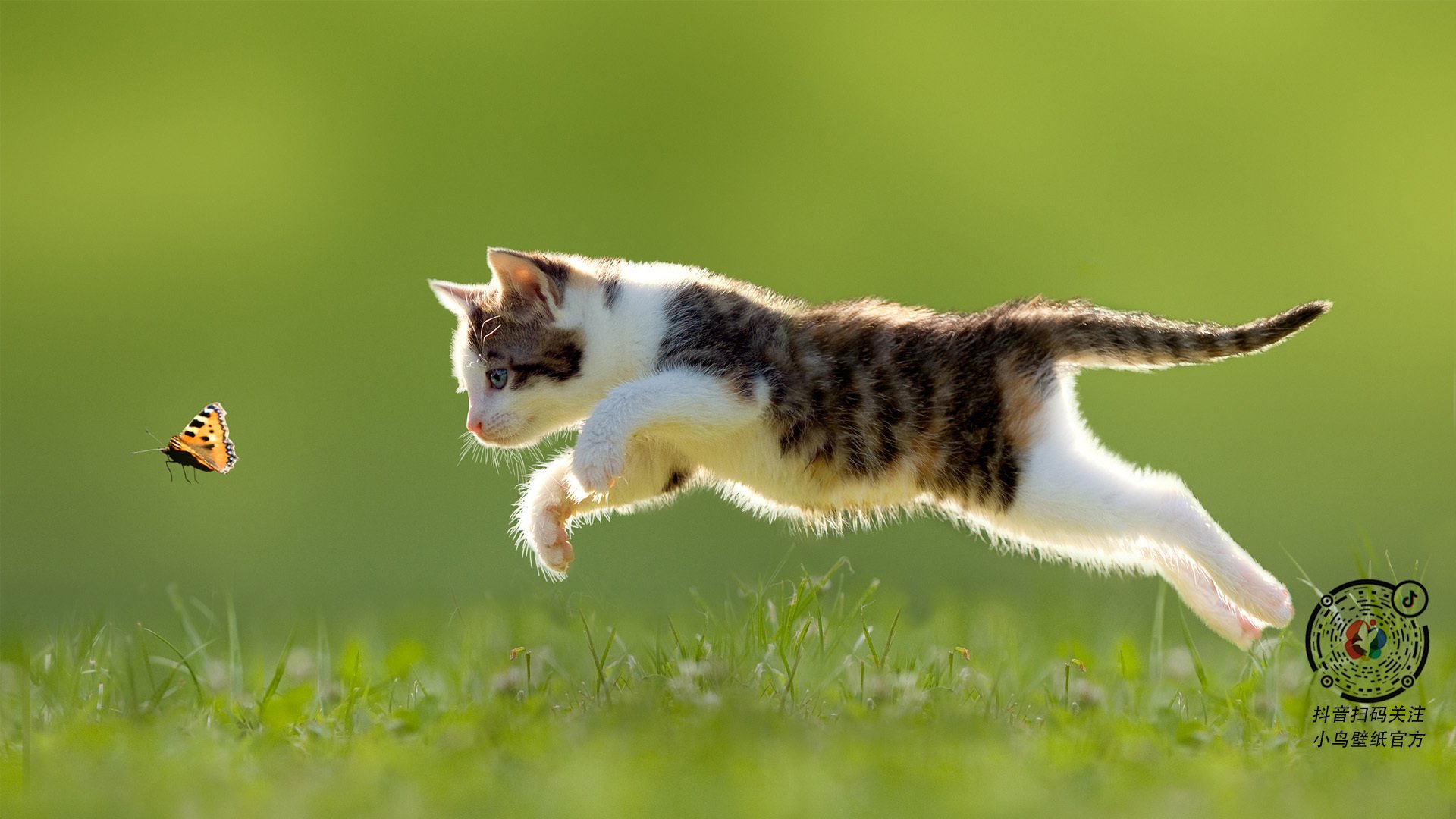 班凯罗黑夜燃星火,一场定义伟大的欧冠淘汰赛高光