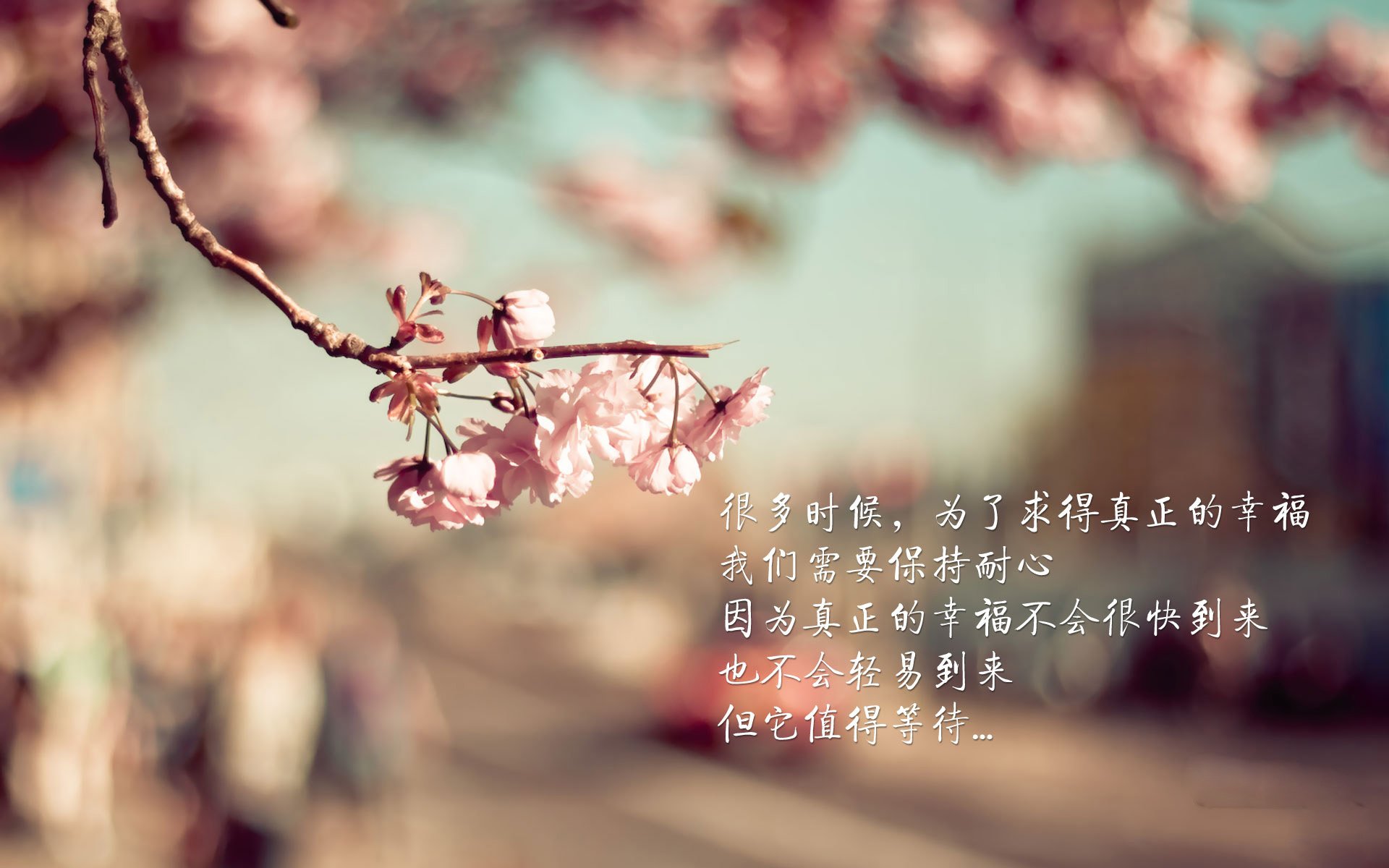 小贾伦统治攻防两端，国王窒息式封锁让北京队饮恨国际赛场