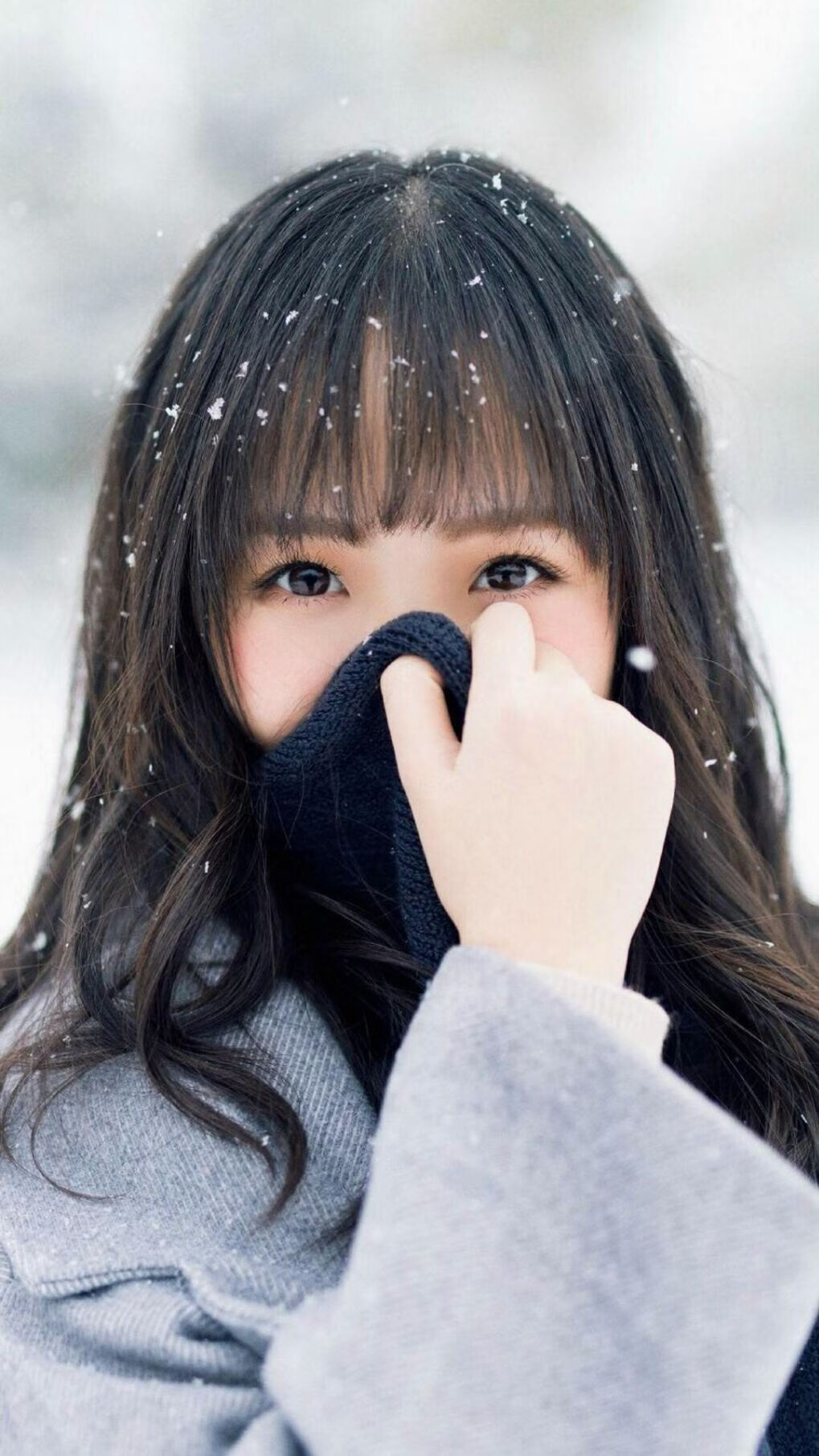 绿洲风暴席卷法兰西，欧冠淘汰赛见证阿尔及利亚足球的国家胜利