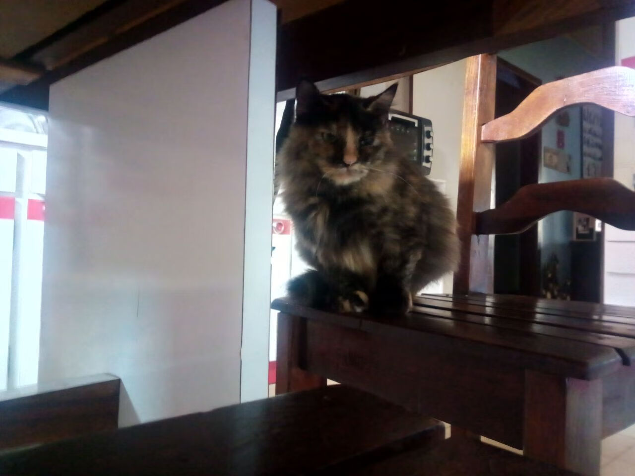 萨内统治级表现引爆全场！厄瓜多尔虽败犹荣，枪手天才光芒难掩