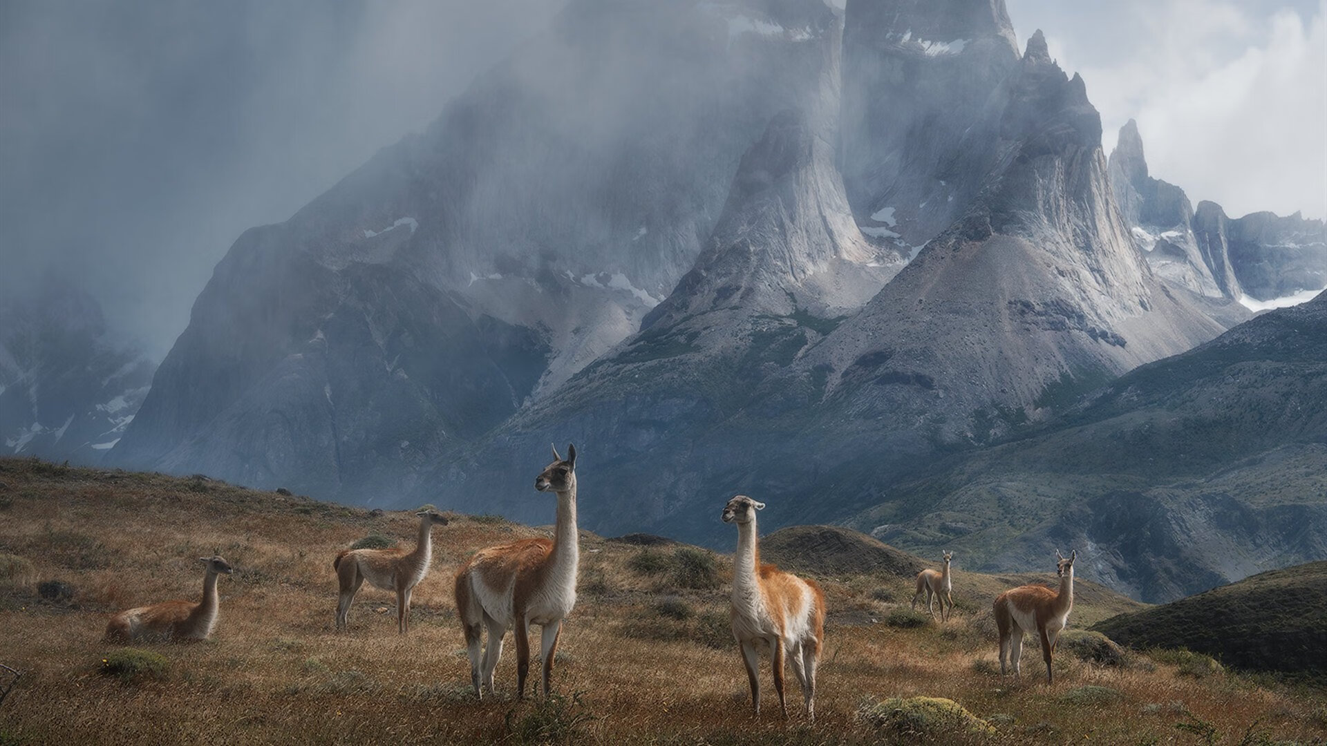 布克雷霆万钧,决胜局撕裂辽宁铁壁防线