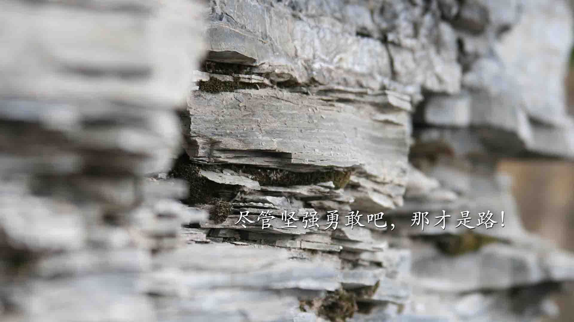 马克西狂砍42分闪耀印城 步行者团队篮球击溃奇才