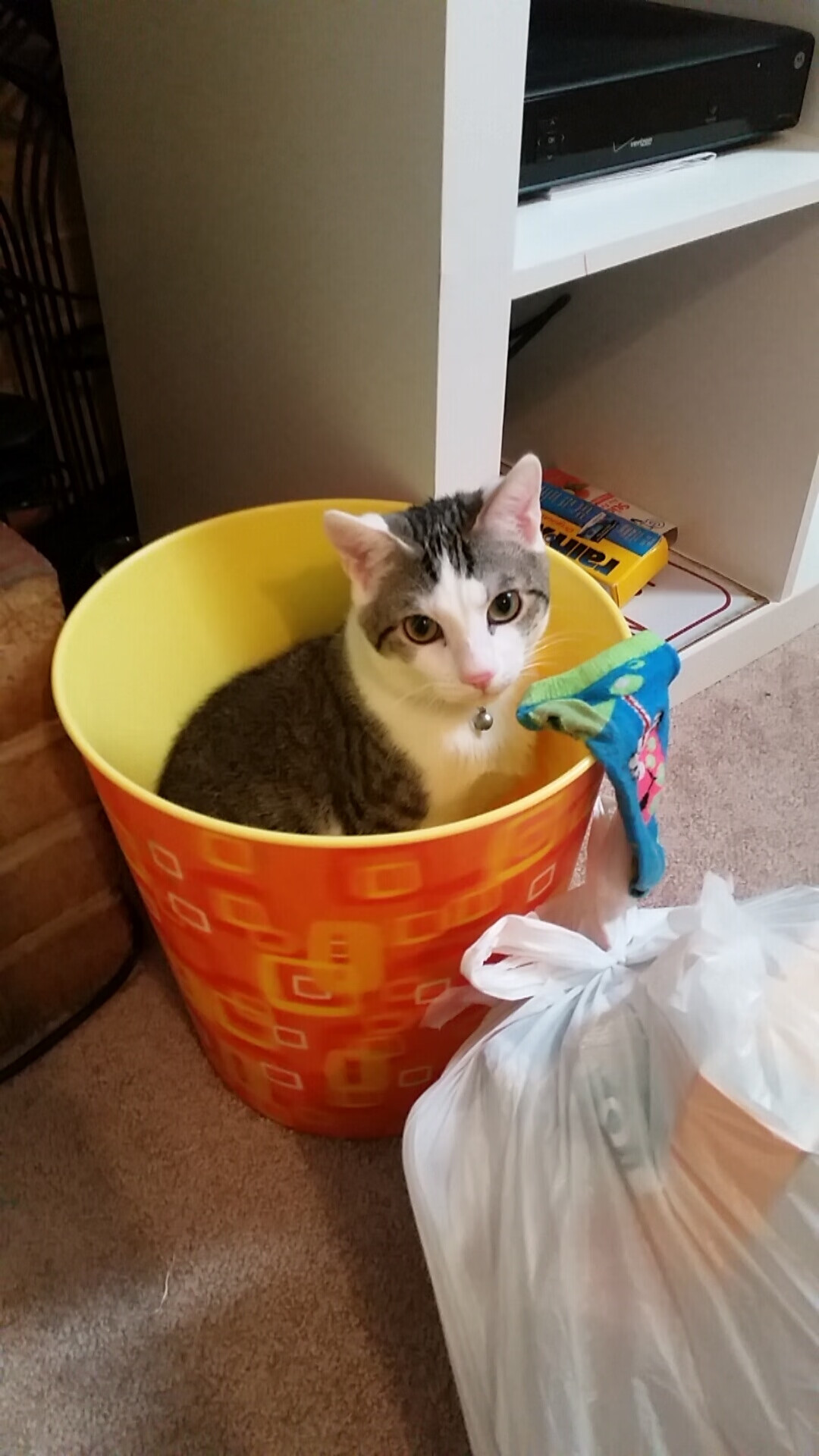 齿轮间的独舞者，当霍勒迪将F1揭幕战谱写成他的协奏曲