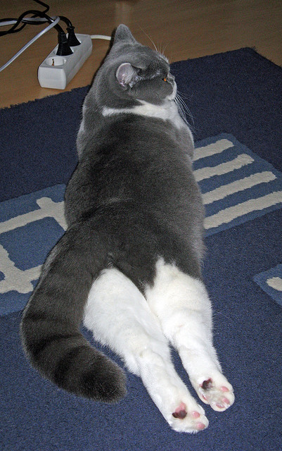 横扫爵士,爱德华兹临危救主成广厦关键先生