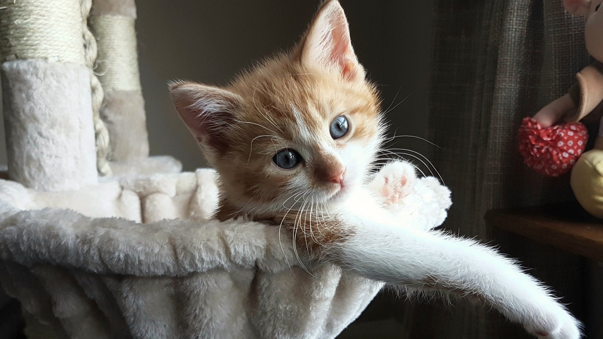 开云体育官网-约基奇三双统治跨洋对决，公牛险胜吉林队显战术优势