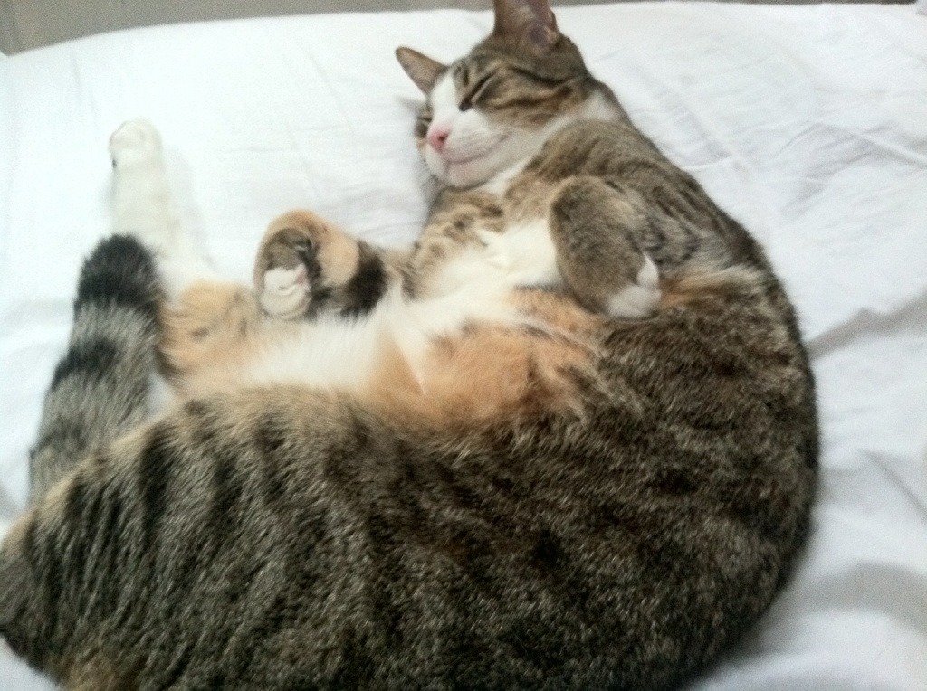 开云体育入口-雨夜中的巨星闪光，孙兴慜一球定乾坤，亚特兰大友谊赛力克新西兰