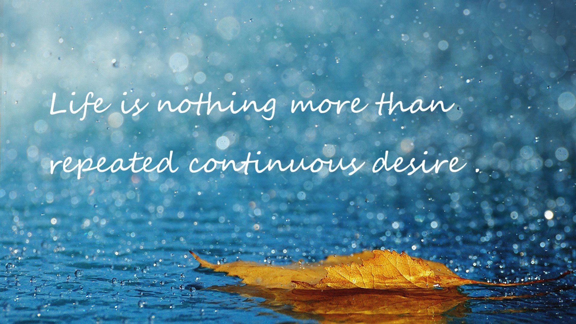 暗夜猎手，贝恩如何用四圈毁掉所有人的努力