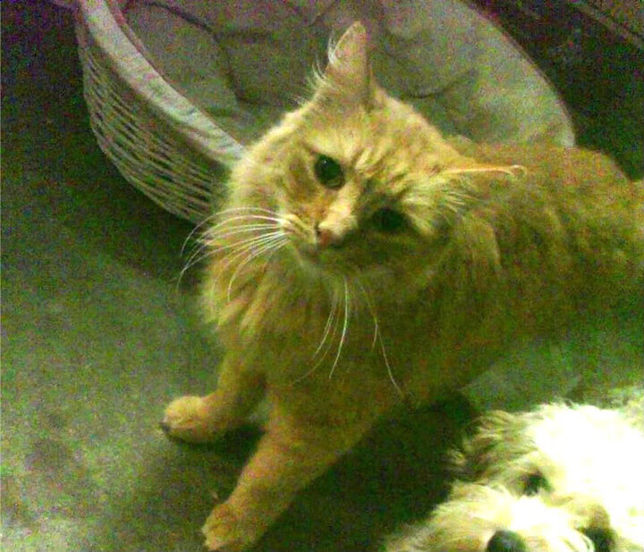 开云下载-尼克斯爆冷击碎预期，库里挽弓重塑秩序，当偶然性遇见历史的必然