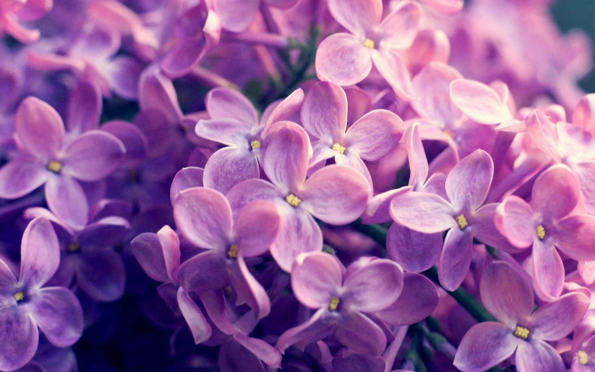 蒂亚戈关键制胜，南非强势晋级佛罗伦萨邀请赛四强